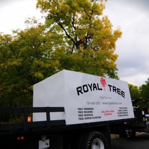 Royal Tree working truck